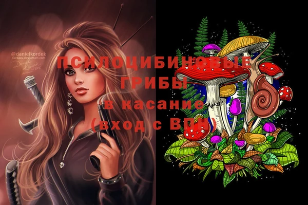 бошки Майский