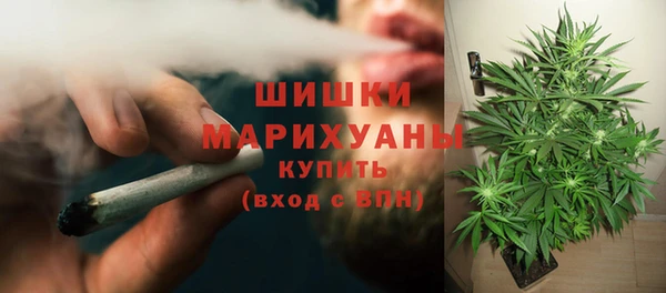 PSILOCYBIN Белоозёрский