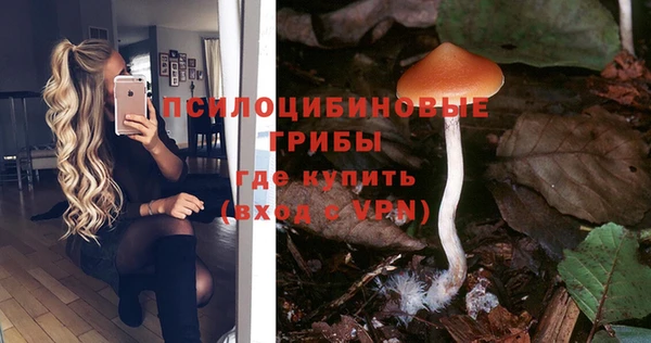 кристаллы Липки