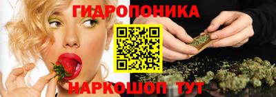 сатива Ирбит