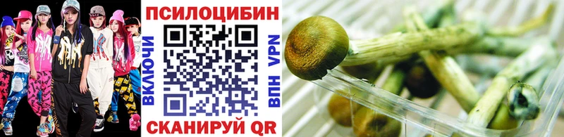 даркнет сайт  Нефтеюганск  Галлюциногенные грибы Psilocybine cubensis 