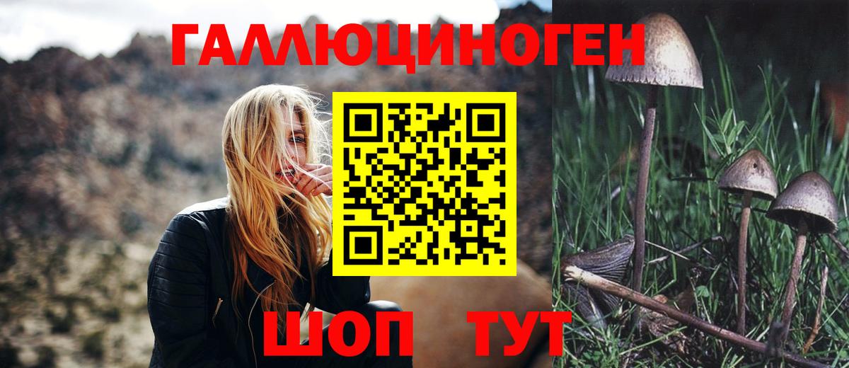 Псилоцибиновые грибы прущие грибы Нефтеюганск
